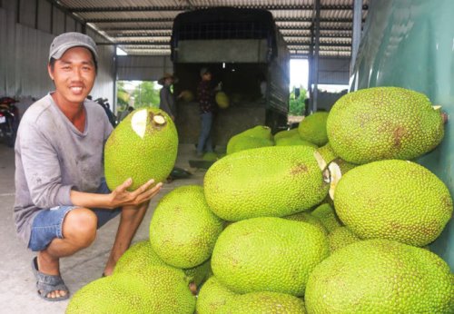 Nhiều loại nông sản, trái cây đồng loạt tăng giá, nông dân mừng khấp khởi